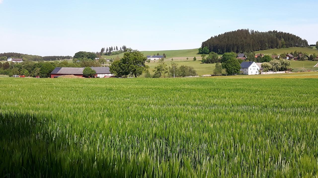 Landhotel Lichte Aue Lichtenau Stutzengrun Buitenkant foto